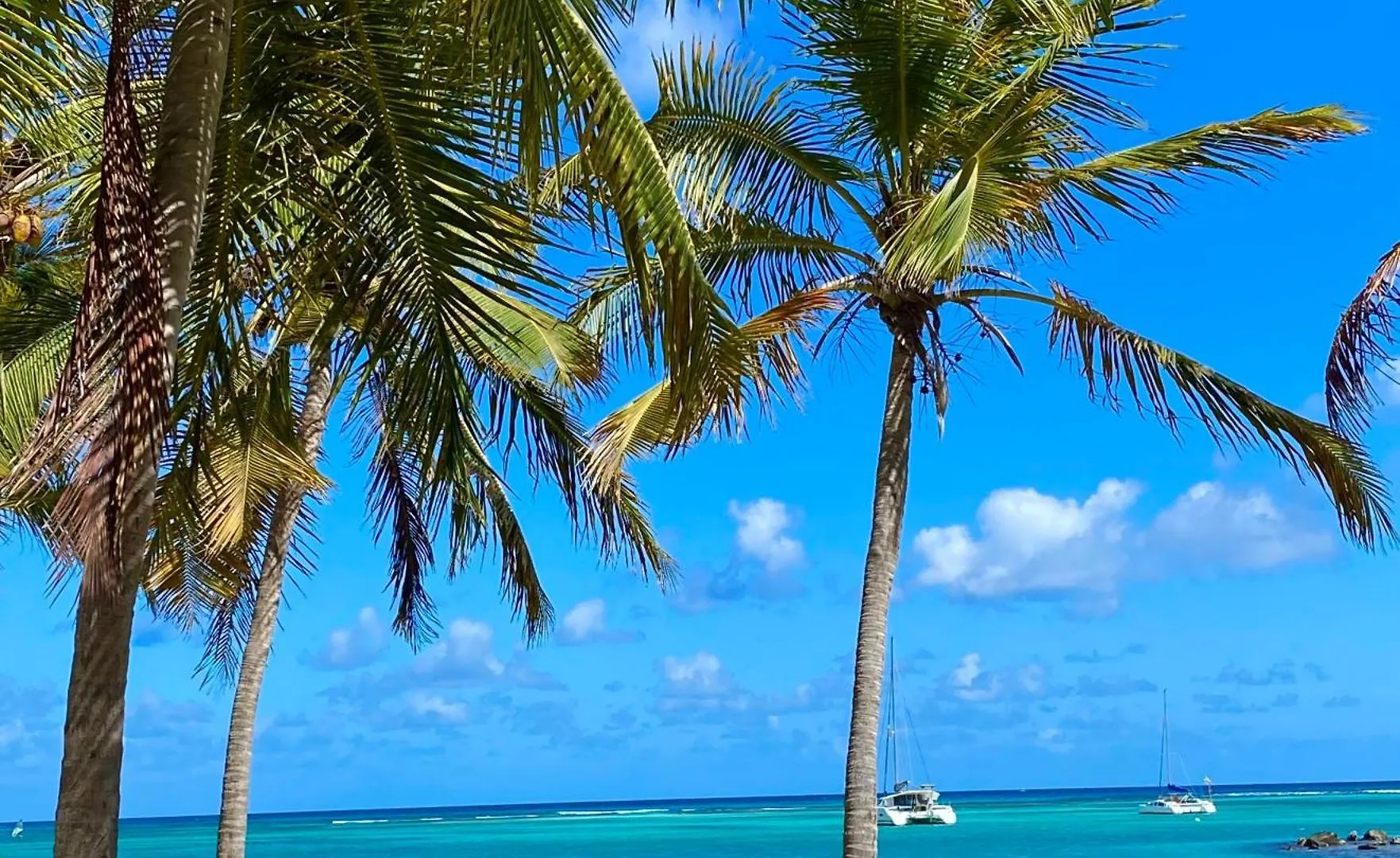 Studio Atoumo Marine 5 Saint-Francois  Guadeloupe